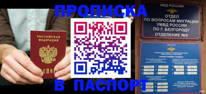 прописка иностранных граждан в Петропавловске-Камчатском